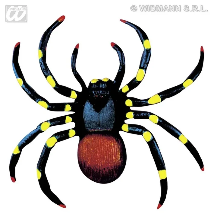 2 Neonspinnen, 10 Zentimeter