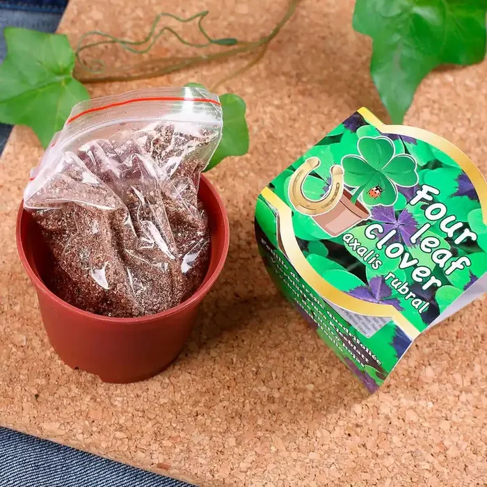 Glücksklee im Kunststoff-Topf