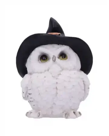 Schneeeule mit Hexenhut